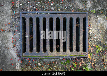 Cast iron rectangular sewer pit. Rainwater installation in the city. Autumn season. Stock Photo
