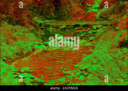 Close-up of the course of a little stream Stock Photo