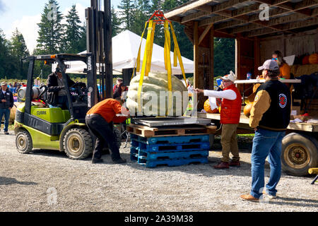 The Woman Forklift Operator Stock Photo Alamy