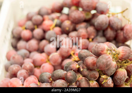 Bunches of red grapes prepared for sale. Variety for food. Russia. Stock Photo