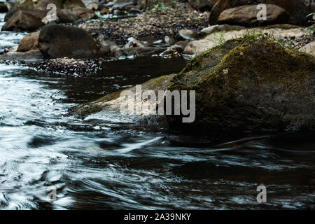 selective focus of rocks with green mold near flowing stream Stock Photo