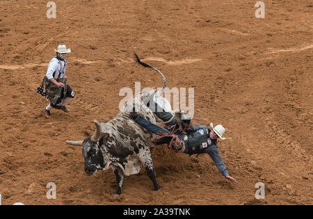 Scene from the Bad Company Rodeo, part of the annual Poteet Strawberry ...