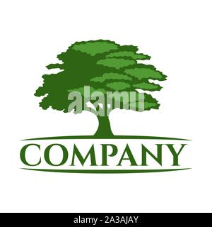 Square Root Tree Nature Environment Logo Design Vector Stock Vector ...