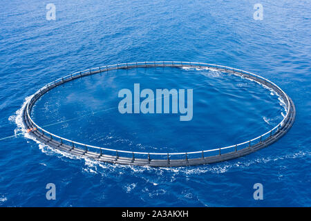 Aerial view close up, fish farm with floating cages in sea. Stock Photo