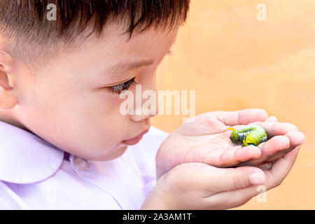 A child holding a green caterpillar in his hand. Caterpillar on the hands with blur background. Close up beautiful green tea caterpillar. Stock Photo
