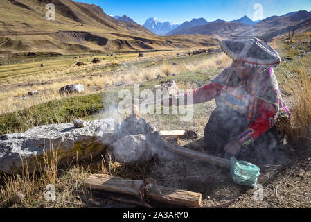 A Quechua lady uses natural dyeing techiques to color Alpaca Wool for textile making. Chillca, Cusco, Peru Stock Photo