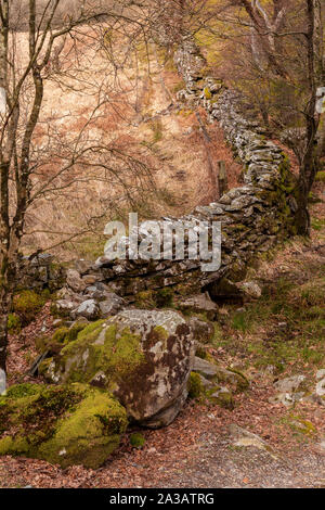Old drystone wall at Capel Curig, Snowdonia, North Wales Stock Photo