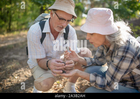 Couple wearing hats holding strobili while enjoying walk in forest Stock Photo