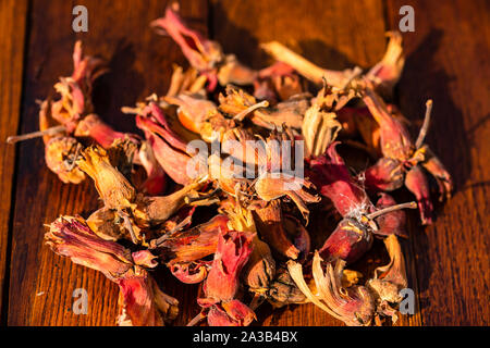 Red hazelnuts on a wooden board. Isolated hazelnuts. Stock Photo