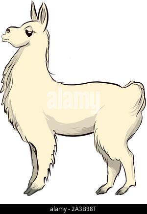 illustration of side view of single proud llama Stock Vector