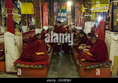 Young monks pour tea to worshipping monks in the Coqen Hall or Main Assembly Hall in the Ganden Monastery on Wangbur Mountain near Lhasa, Tibet. Stock Photo