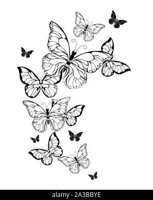 Butterfly Tattoo Patterns Images  Browse 32817 Stock Photos Vectors and  Video  Adobe Stock