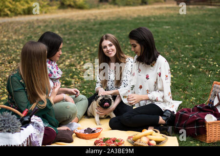 Group of young women having a fun picnic at the park, playing with a pet pug dog. Stock Photo