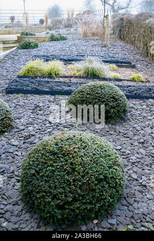 Stylish, contemporary design, landscaping & planting (grasses & yew balls) on herbaceous border - frost covered winter garden, Yorkshire, England, UK. Stock Photo