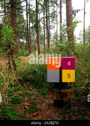 wooden sign post mile marker on a hiking jogging trail in a forest Stock Photo