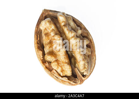 Cracked ripe walnut in husk isolated on white background Stock Photo