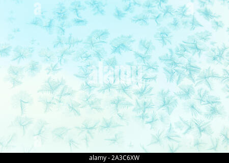 Background from snowflakes and hoarfrost on a window, blue winter, christmas background. Shallow depth of field Stock Photo