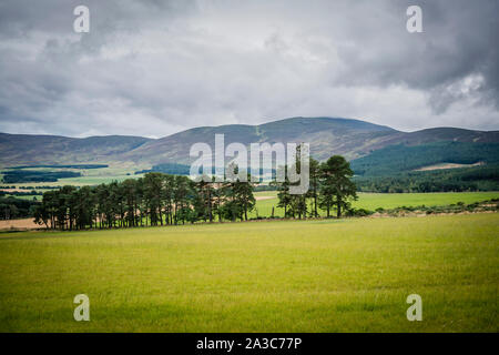 Beautiful rolling hills and farmland at The Queens View near Tarland in Aberdeenshire under a moody sky Stock Photo