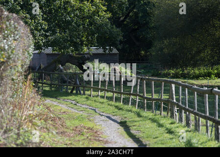 countryside footpath in great britain with wooden fence Stock Photo