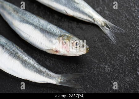 Three raw, uncooked Cornish sardines, Sardina pilchardus, bought from a supermarket in the UK. In the UK sardines above a certain size are known as pi Stock Photo