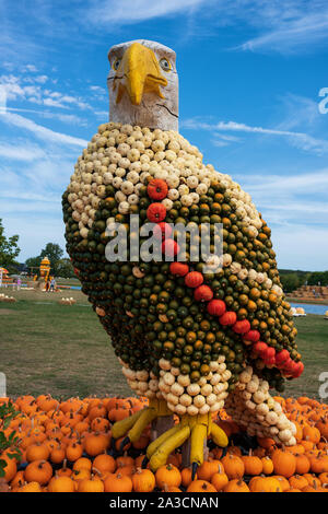 White-tailed eagle figure decorated with pumpkins Stock Photo