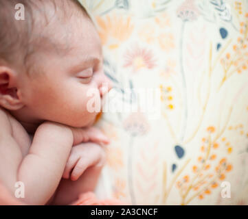 Close up of newborn girls profile while sleeping with hands folded Stock Photo