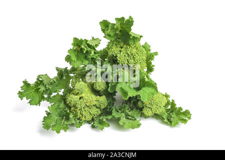 Fresh  rapini or broccoli rabe  isolated on white background Stock Photo