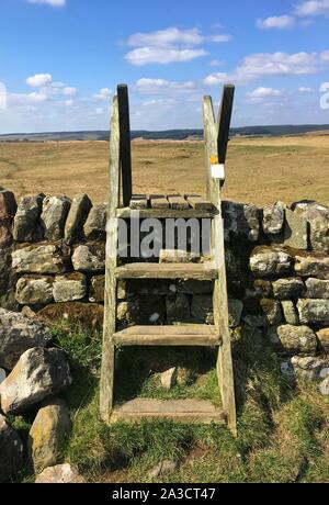 Wooden ladder stile over dry stone wall, on foot path at Haydon Bridge near Hadrians Wall, Northumberland National Park. Stock Photo