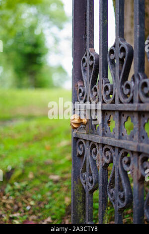 vintage old iron gate with gold latch Stock Photo