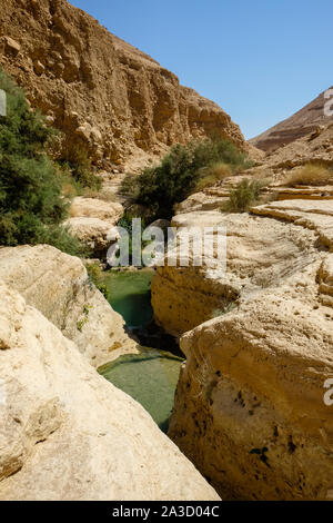 Clear water pools along the arid landscape of Wadi Arugot in Israel Stock Photo