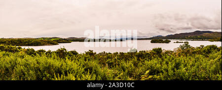 Panoramic view over the water at Llyn Trawsfyndd, Snowdonia NP, Wales, UK Stock Photo