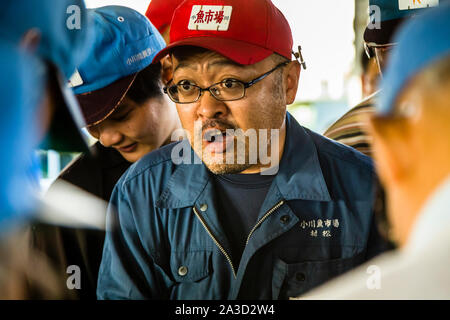 Fish Auction in Yaidu, Japan Stock Photo