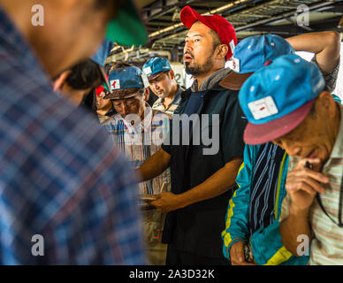 Fish Auction in Yaidu, Japan Stock Photo