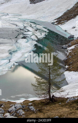 Biggest lake at Triglav valley covered in snow Stock Photo