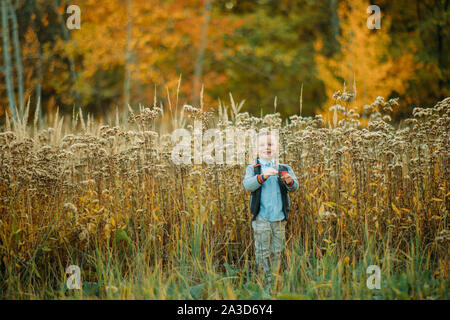 Child boy walks in a glade among flowers and grass in the autumn forest. Stock Photo