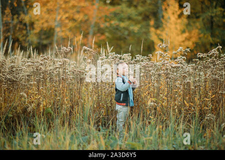 Child boy walks in a glade among flowers and grass in the autumn forest. Stock Photo