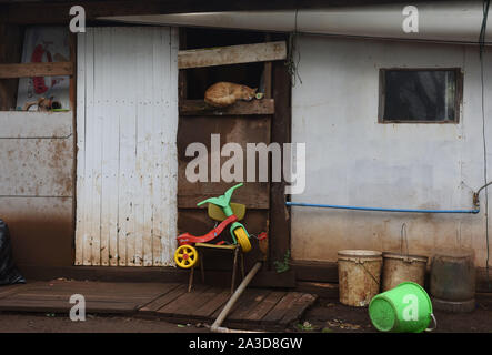 Hanga Roa, Chile. 23rd Sep, 2019. A cat is seen sleeping on the frame of a door.Hanga Roa is the capital of Easter Island, a Chilean island in the southeastern Pacific Ocean. The village has around 5,000 inhabitants, which comprises between 87 and 90 percent of the total population of the island. Excluding a small percentage still engaged in traditional fishing and small-scale farming, the majority of the population is engaged in tourism which is the main source of income. Credit: John Milner/SOPA Images/ZUMA Wire/Alamy Live News Stock Photo