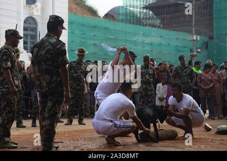 Kathmandu, Nepal. 07th Oct, 2019. Nepalese devotees a Goat slaying in celebration of Navami, ninth day of Dashain Festival at Basantapur Durbar Square, Kathmandu, Nepal on October 07, 2019. The temple opens once in a year for public on Navami Day. Dashain is the longest and the most auspicious festival in Nepal offering devotion towards Goddess Durga. It is celebrated for 10 days by Nepalese Hindu people. (Photo by Subash Shrestha/Pacific Press) Credit: Pacific Press Agency/Alamy Live News Stock Photo