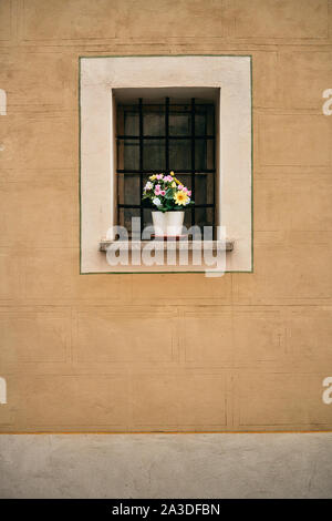 Window white frame on wall with blooming flowers in white pot on sill Tuscany Italy Stock Photo