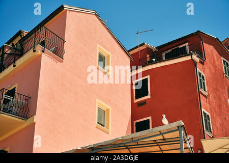 Low angle of vibrant house facades with windows and balcony and bird sitting on roof corner under blue sky Stock Photo