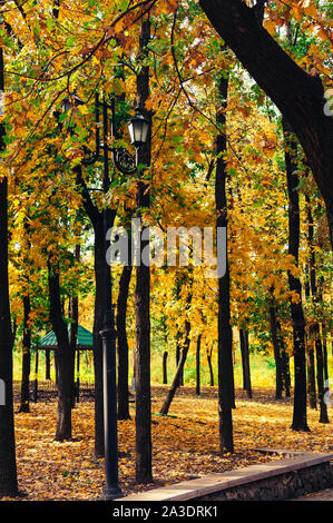 Retro street lamp in a recreation park on a background of yellow bright trees. Beautiful autumn warm landscape.template for design. Stock Photo