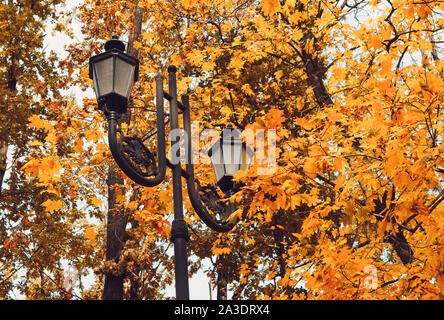 Retro street lamp in a recreation park on a background of yellow bright trees. Beautiful autumn warm landscape.template for design. Stock Photo