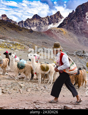 Llama pack in Cordillera Vilcanota, Ausungate, Cusco, Peru Stock Photo