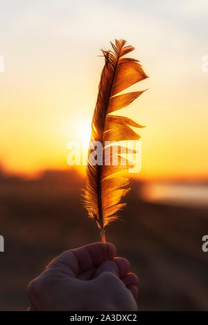 The guy holds a bird feather in his hand in front of the setting sun Stock Photo