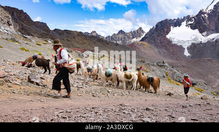 Llama pack in Cordillera Vilcanota, Ausungate, Cusco, Peru Stock Photo