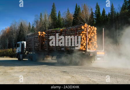 Logging truck loaded with freshly cut logs on their way to the mill for processing. Stock Photo