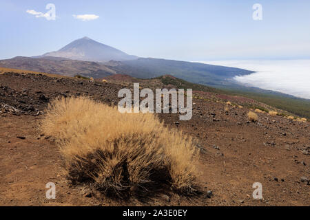 view of Mount Teide in Teide national park. Tenerife