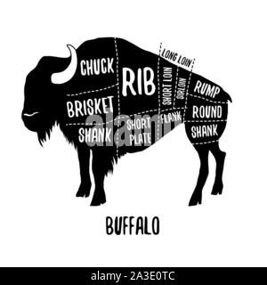 Buffalo cutting charts vector illustration for butchers shop guide. Label for farm design