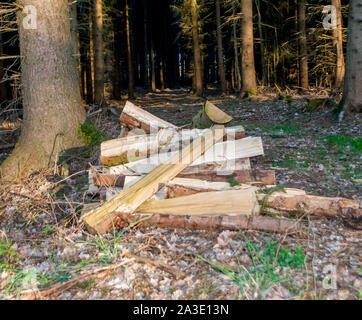 Stacked firewood lying on the ground in a forest in Germany Stock Photo