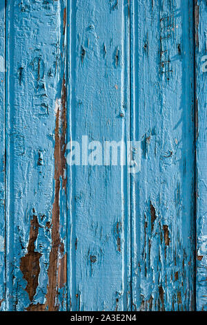 Fence from old blue boards. The boards are wide, with cracked old paint, arranged vertically. Vertical frame. Stock Photo